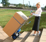 SAL powered stair walking trolly with box on